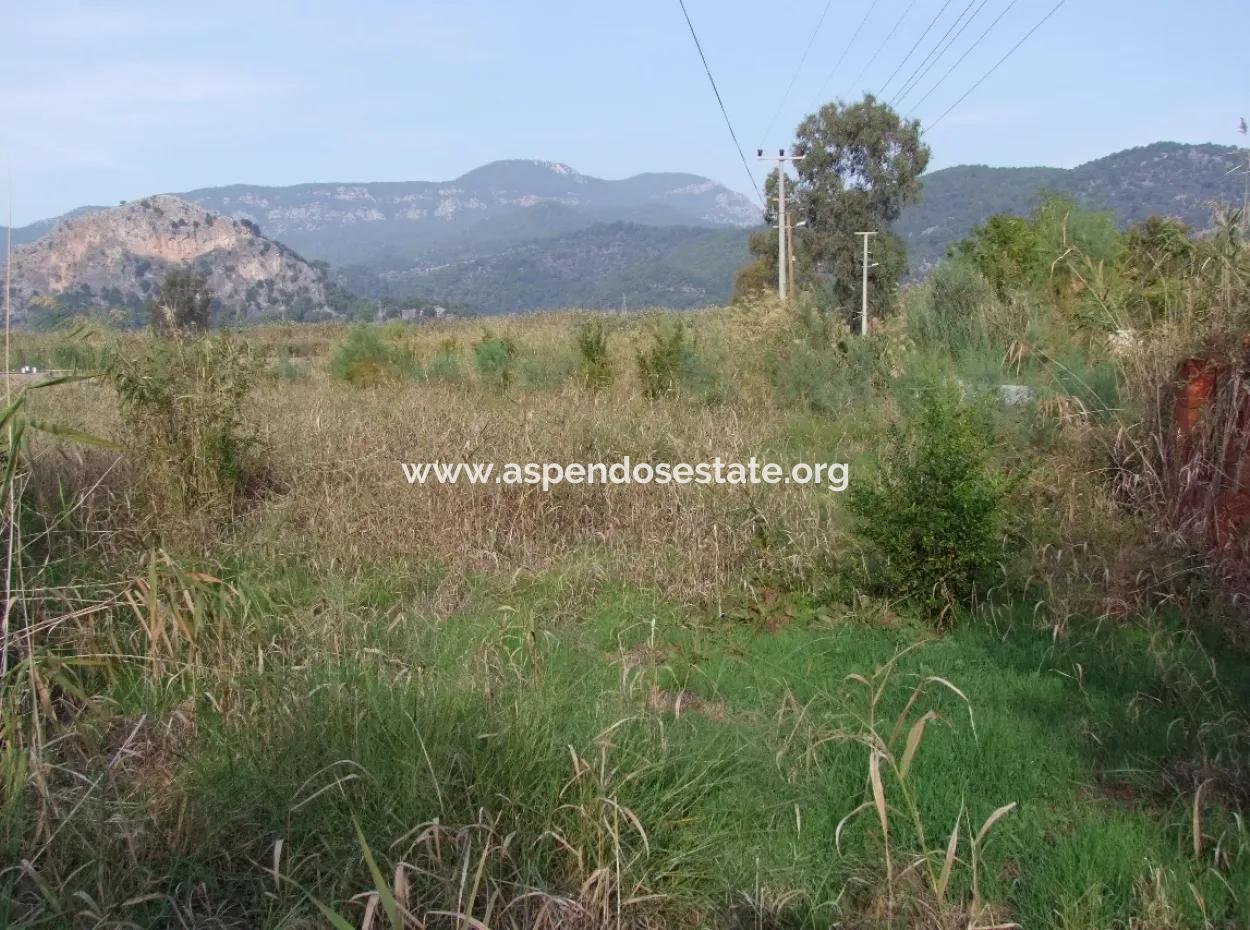 For Sale Land In Dalyan For Sale Dalyan Channel Zero