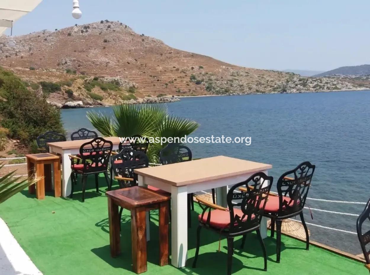 Custom Village By The Sea For Sale Villa For Sale In Osmanabad