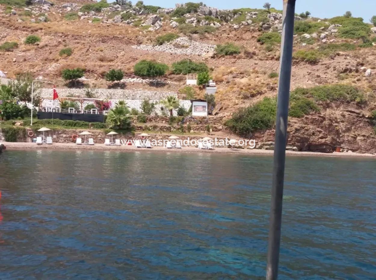 Custom Village By The Sea For Sale Villa For Sale In Osmanabad