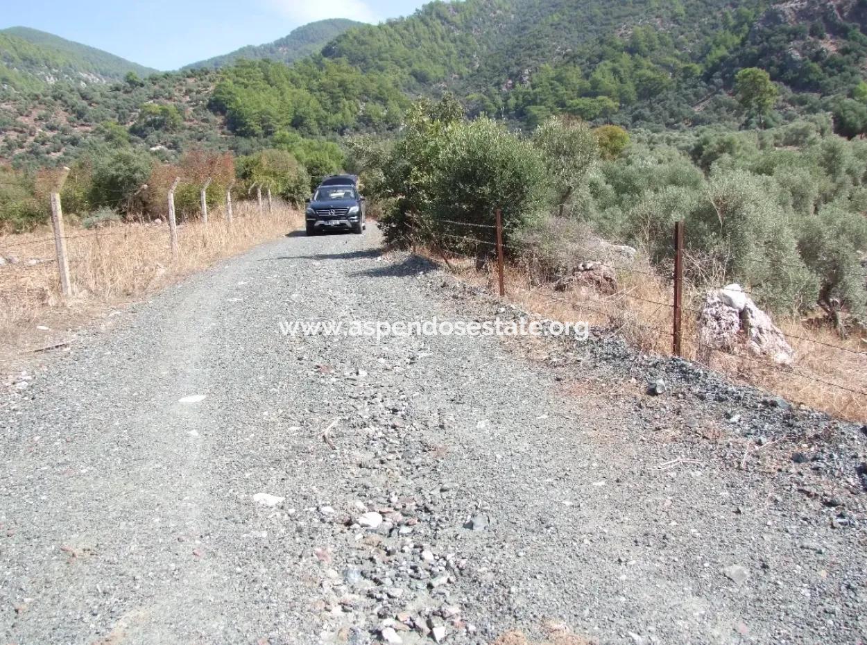 For Sale In Ekincik 5,391M2 Plot For Sale