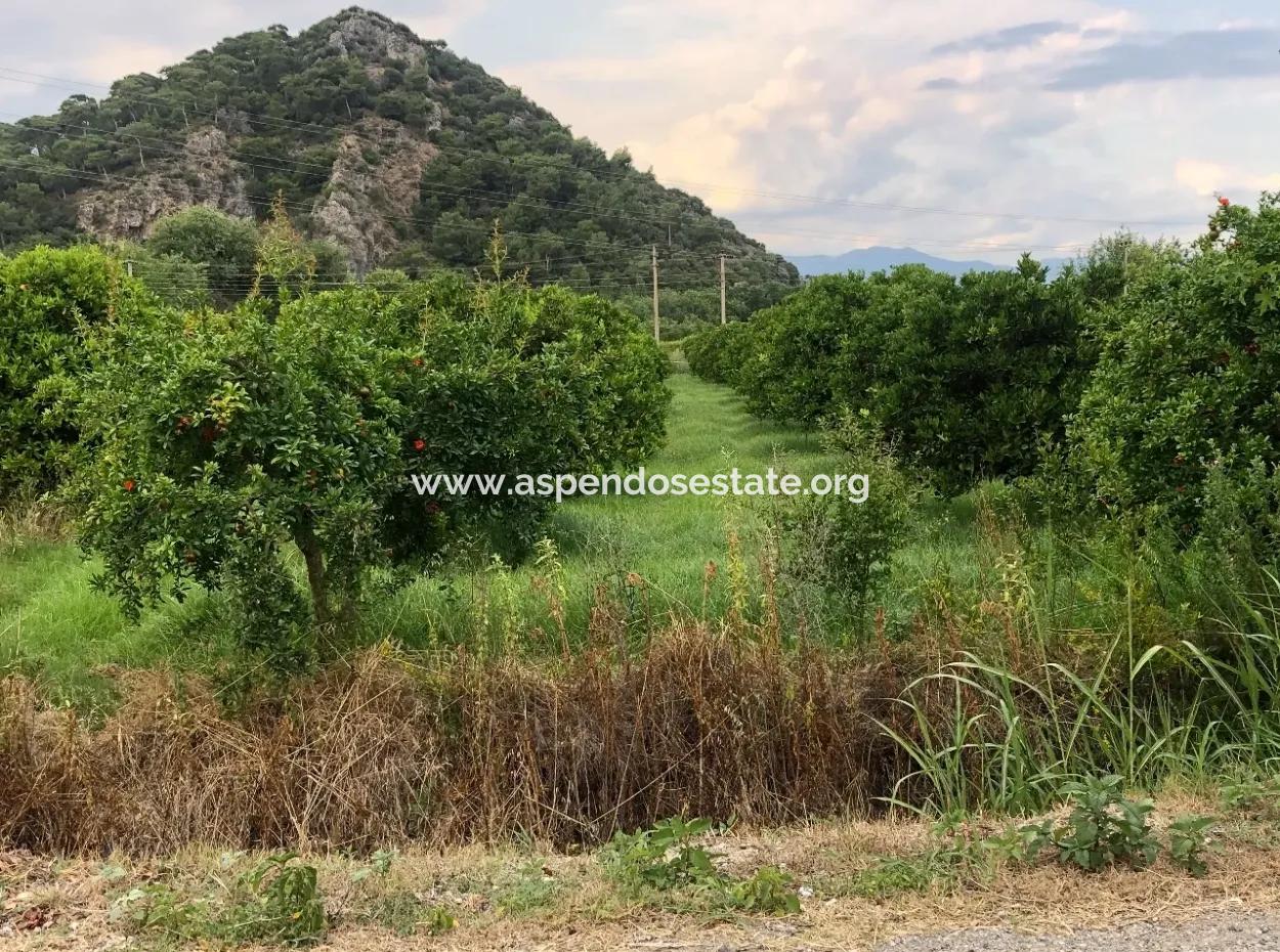 722M2 Plot For Sale In Dalyan Gülpınar For Sale