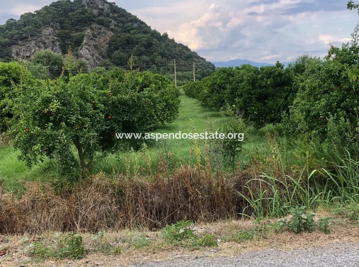 722M2 Plot For Sale In Dalyan Gülpınar For Sale