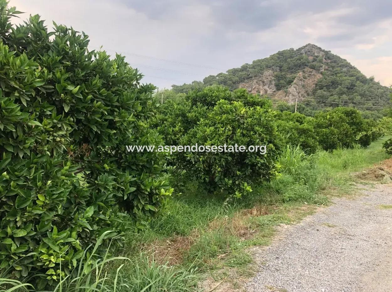 722M2 Plot For Sale In Dalyan Gülpınar For Sale