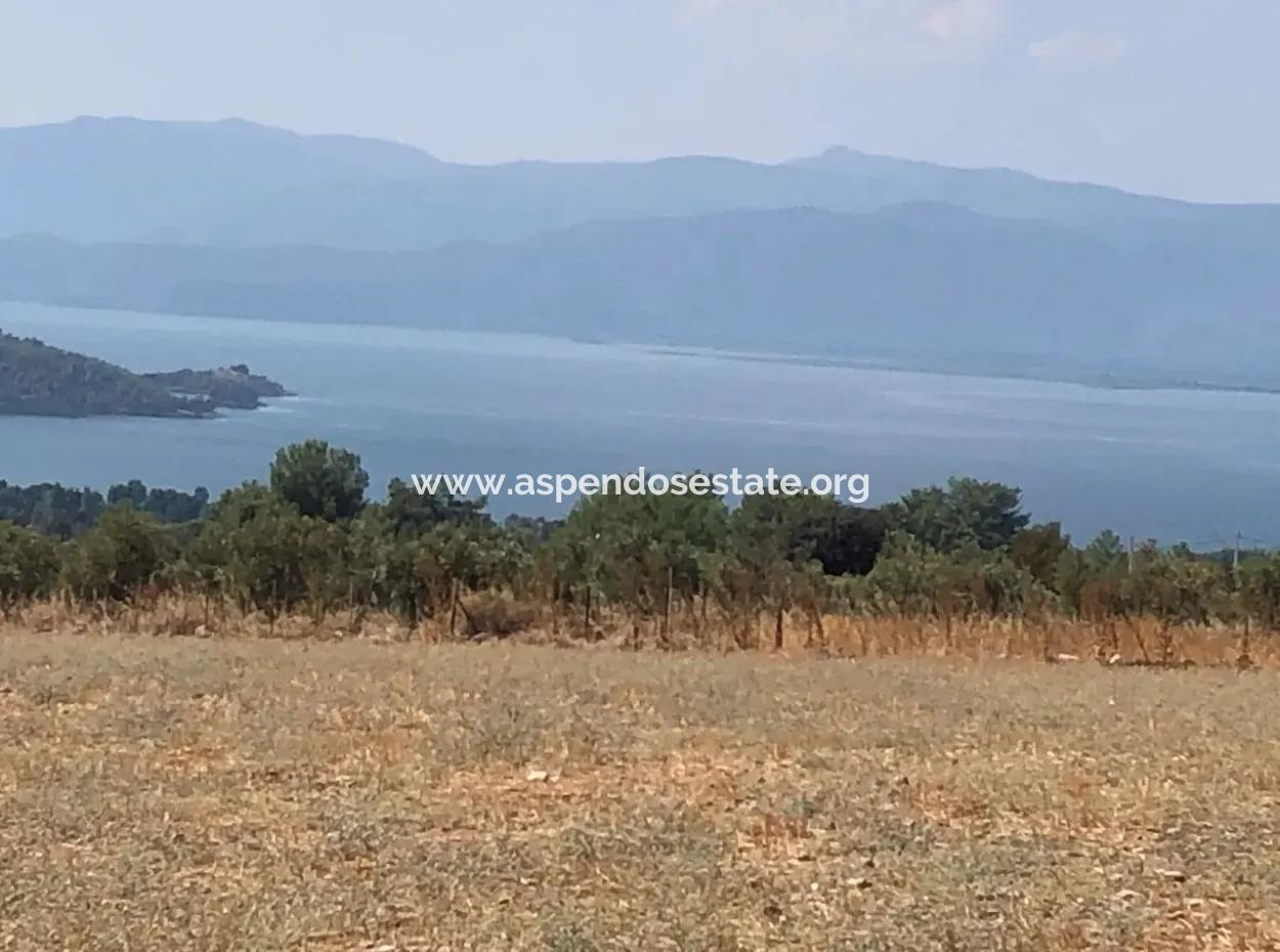 11.227M2 Land For Sale With Lake Views In Köyceğiz Zeytinalanı