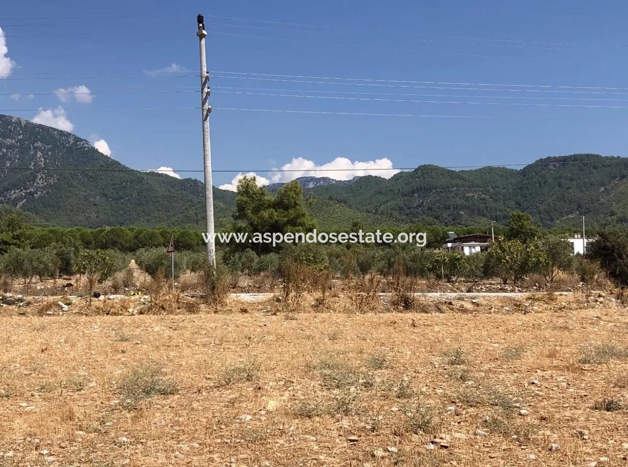 11.227M2 Land For Sale With Lake Views In Köyceğiz Zeytinalanı