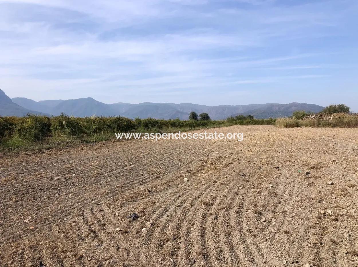 Land For Sale In Esköy 8500M2 Field Land For Sale