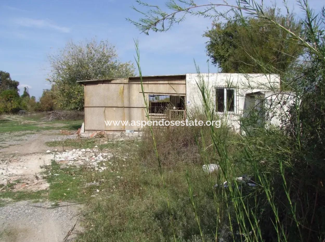 Land For Sale In Guzelyurt Land For Sale Zero 5515M2 Land For Sale On The Main Road