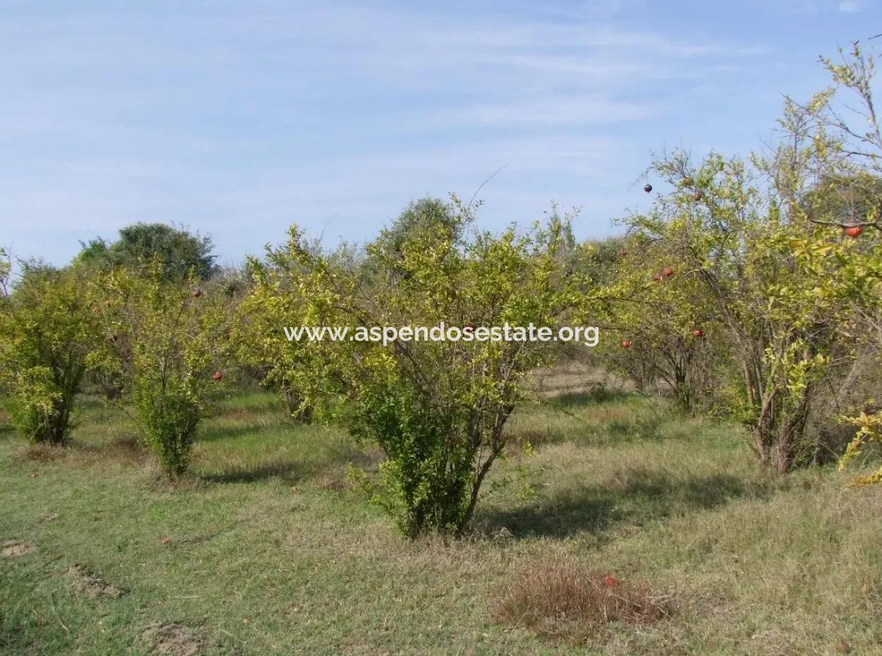 Güzelyurt Land For Sale Village Built 6670M2 Land For Sale