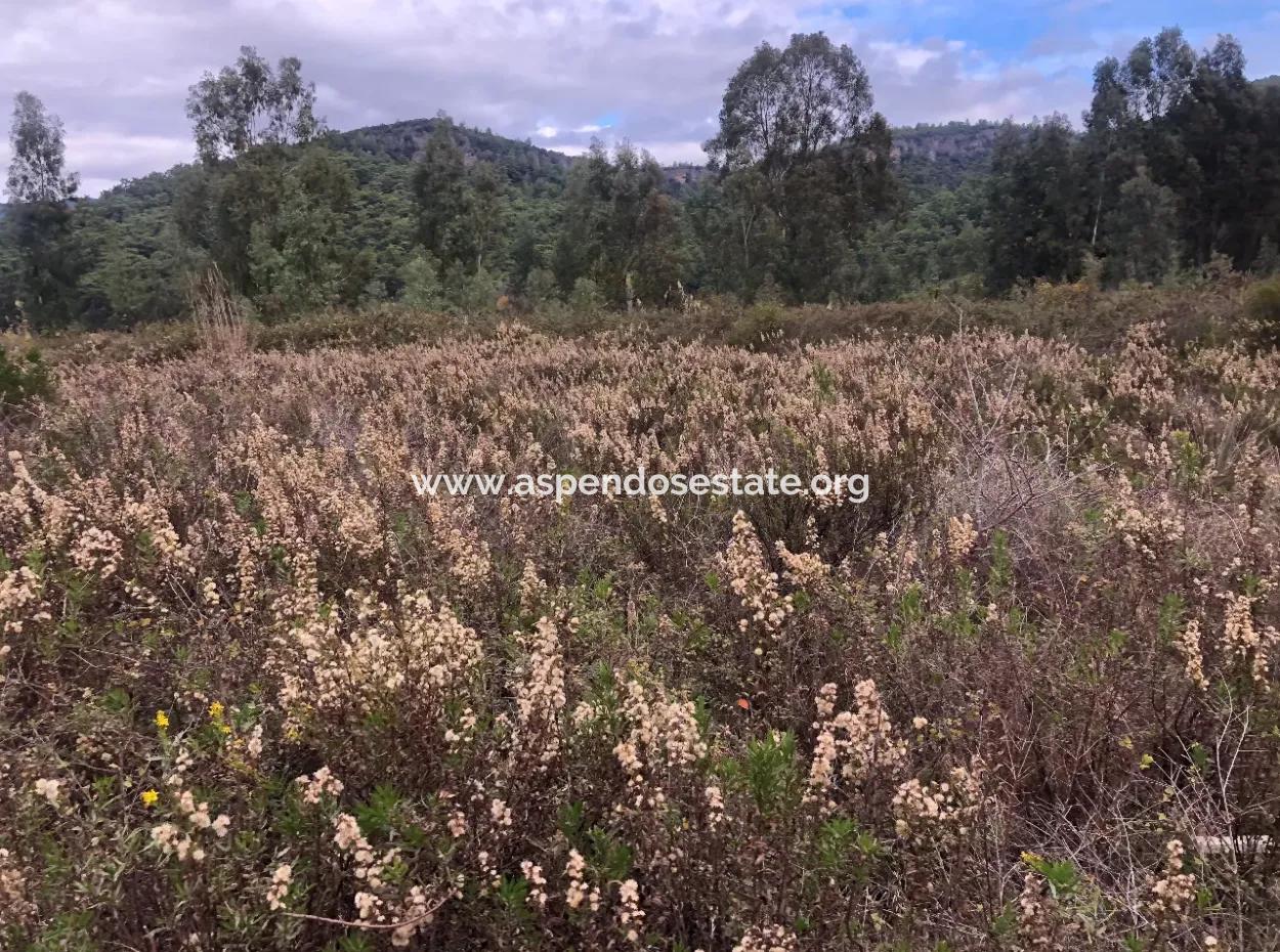 Land  For Sale Zero To Çamlı Canal 28768M2 Land For Sale With Sea View In Camlida