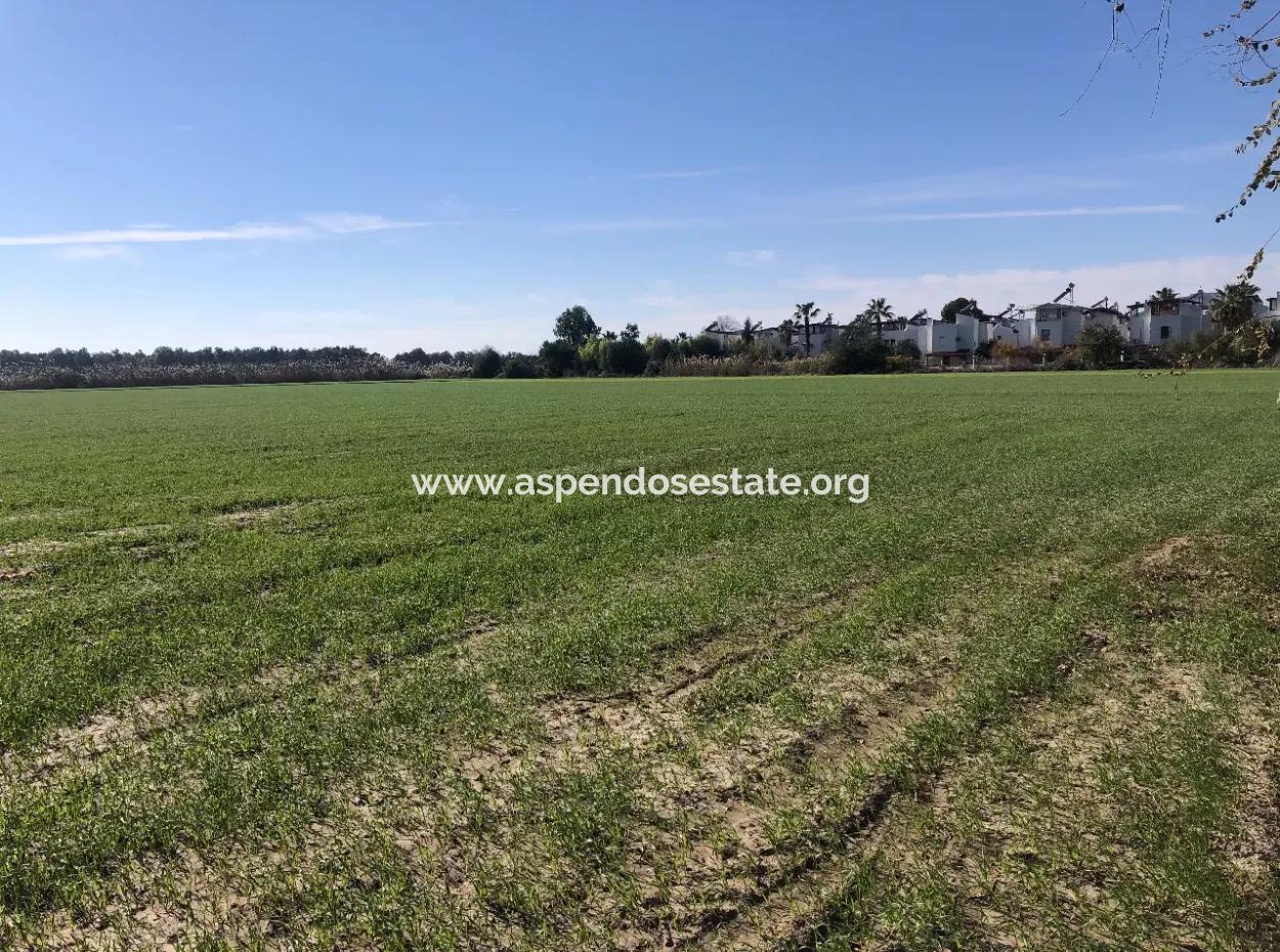 Land For Sale In Sarıgermede 30,000M2 Land For Sale With Sea View