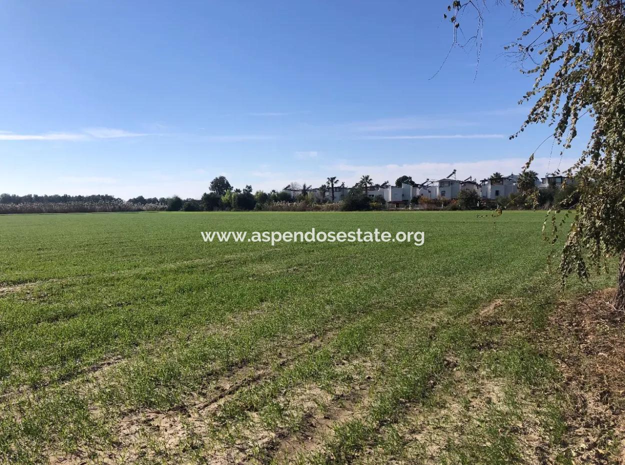 Land For Sale In Sarıgermede 30,000M2 Land For Sale With Sea View