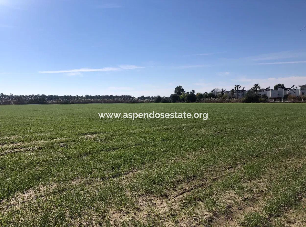Land For Sale In Sarıgermede 30,000M2 Land For Sale With Sea View