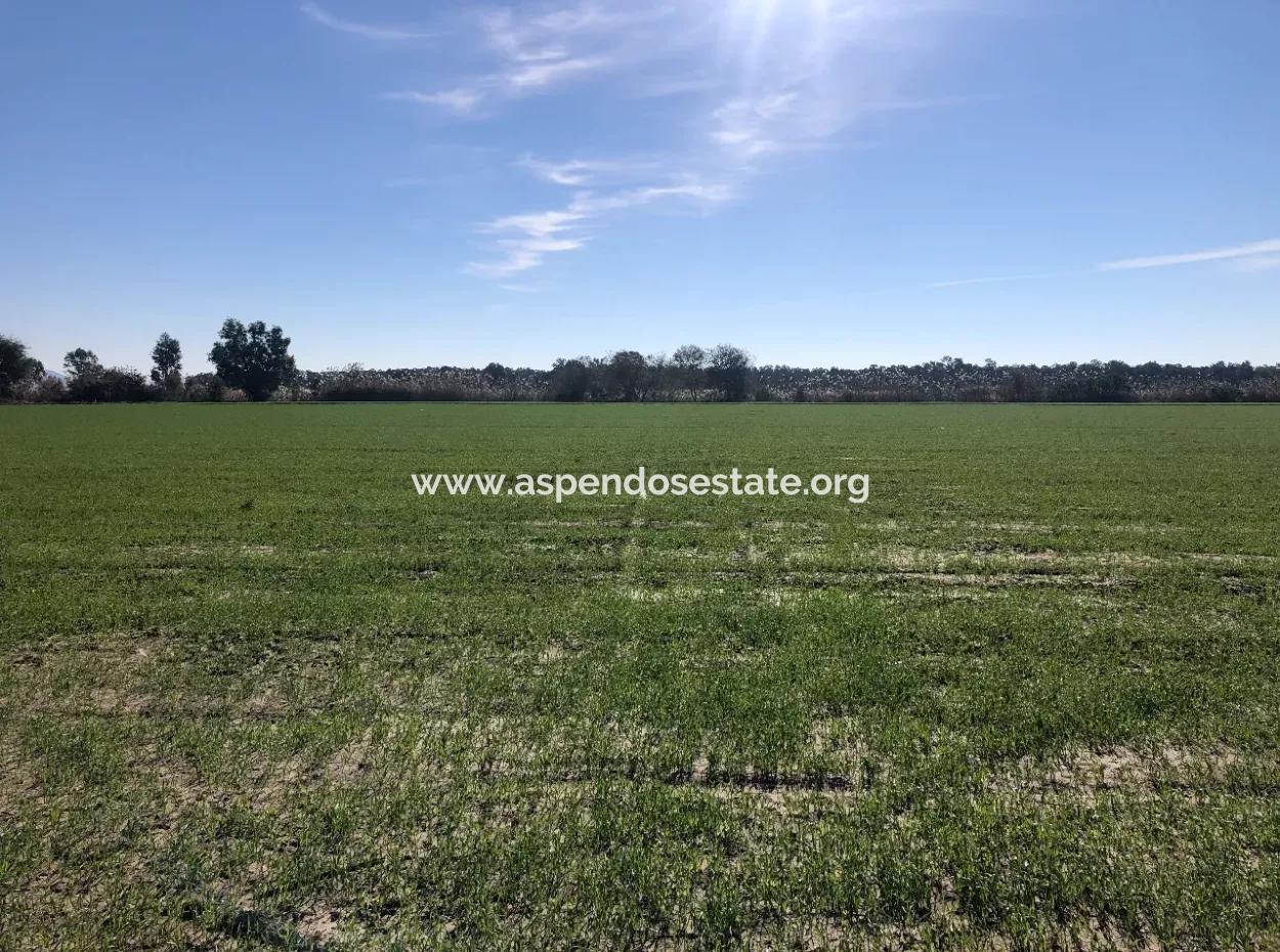 Land For Sale In Sarıgermede 30,000M2 Land For Sale With Sea View