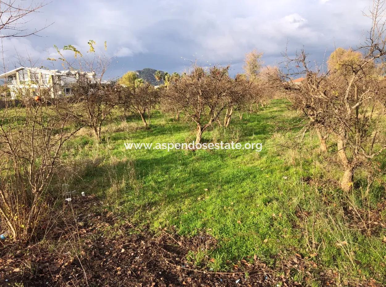 Dalyan Land For Sale Near The Center 3000M2 5% Zoning Land For Sale