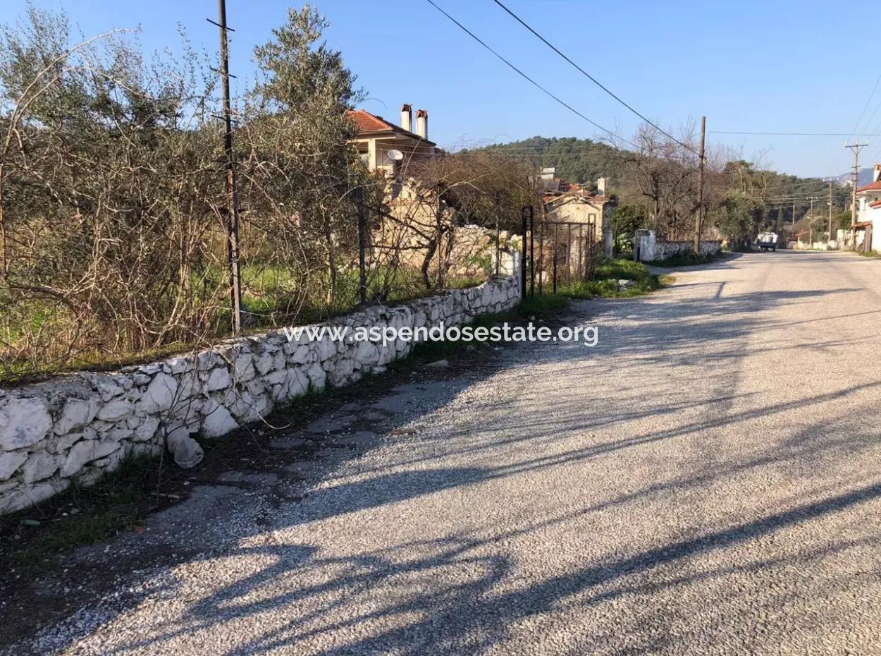 777M2 Land For Sale In Ula Sarayyanı