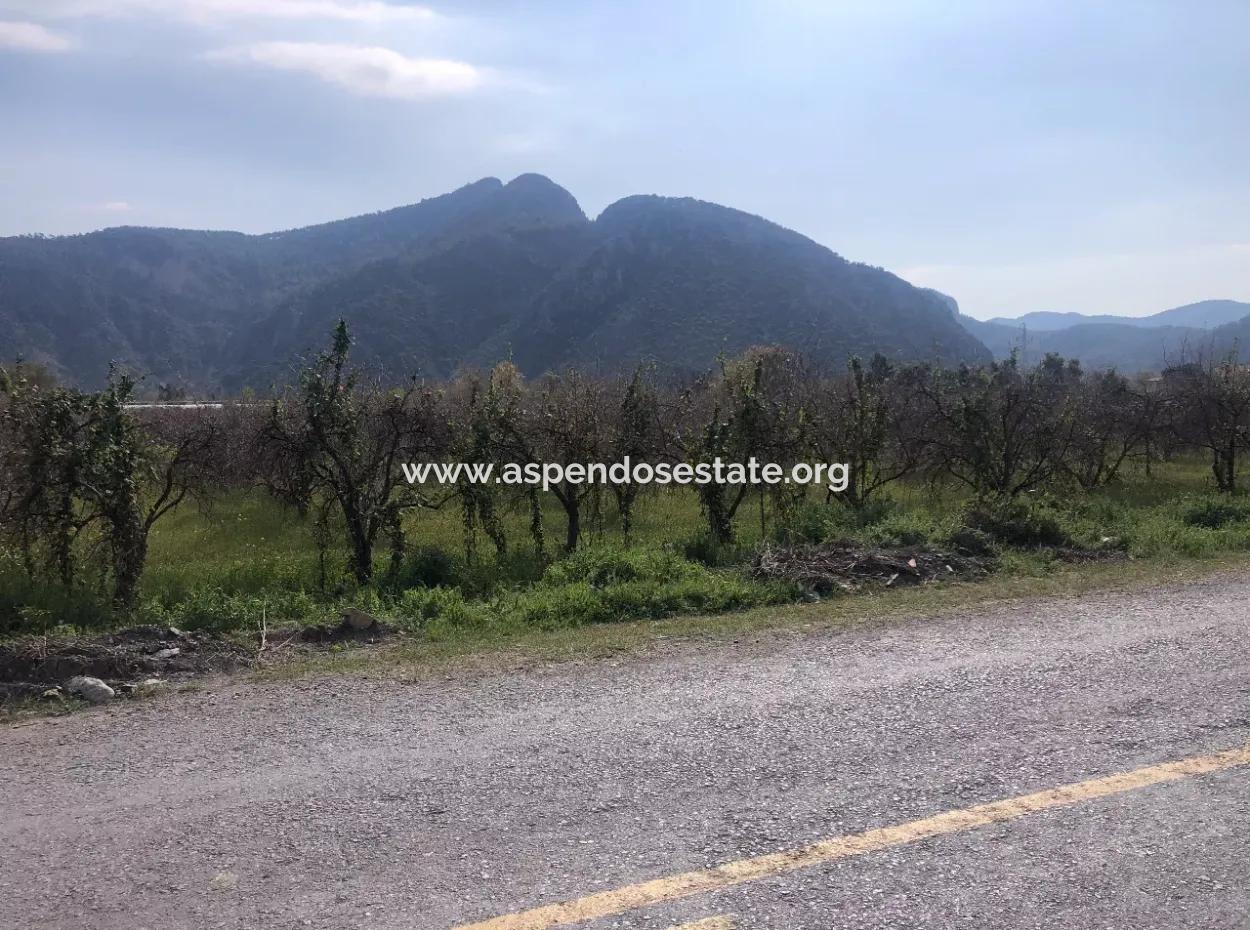 5500M2 Land For Sale In Dalyan