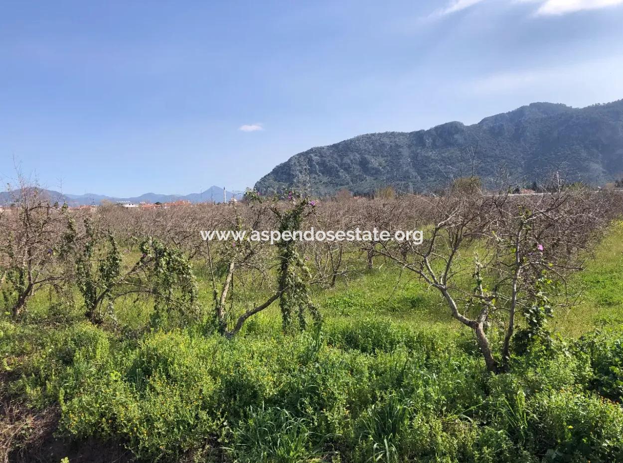5500M2 Land For Sale In Dalyan