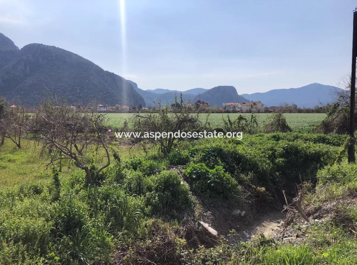 5500M2 Land For Sale In Dalyan