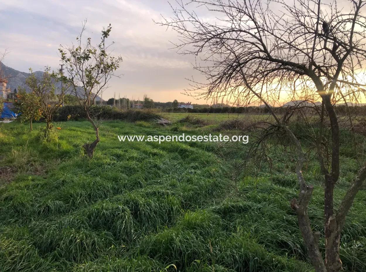 In Okçular Land For Sale 4707M2 Land For Sale