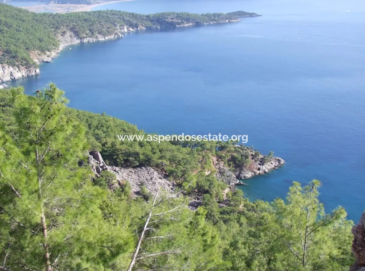 Real Estate Bargain Plot For Sale With Sea Views In Çandır Call In Ekincik