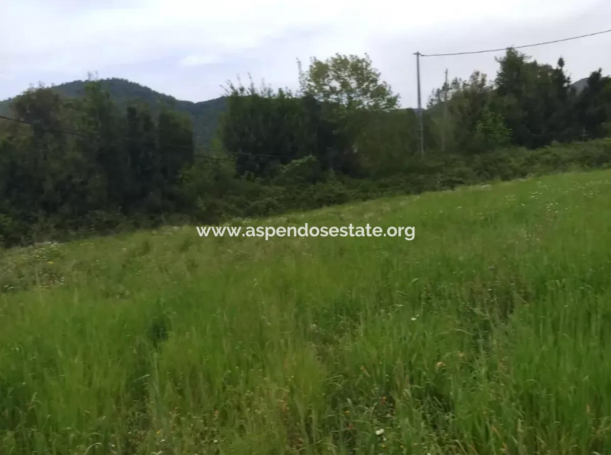 Land For Sale In Çamlida