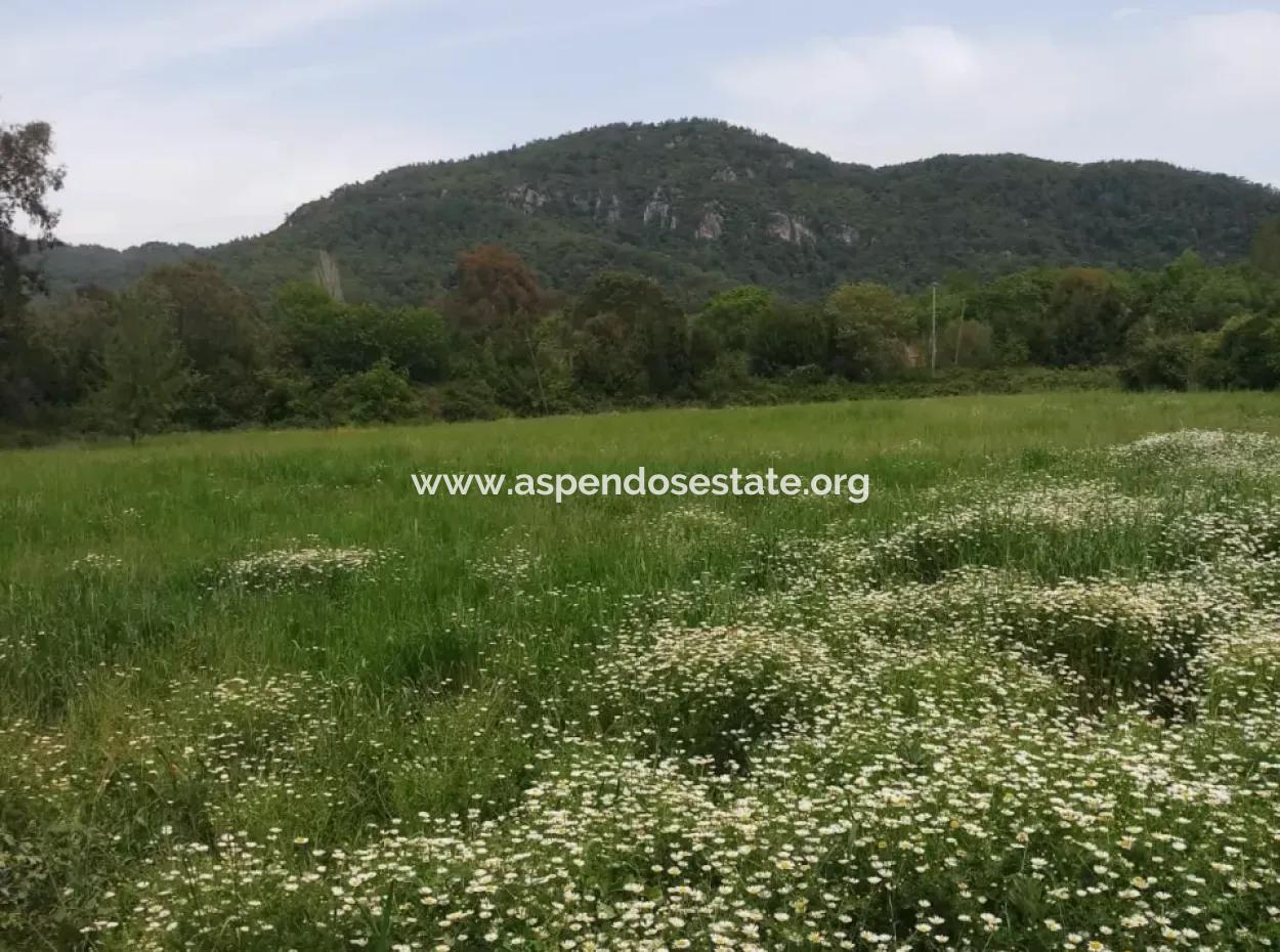 Land For Sale In Çamlida