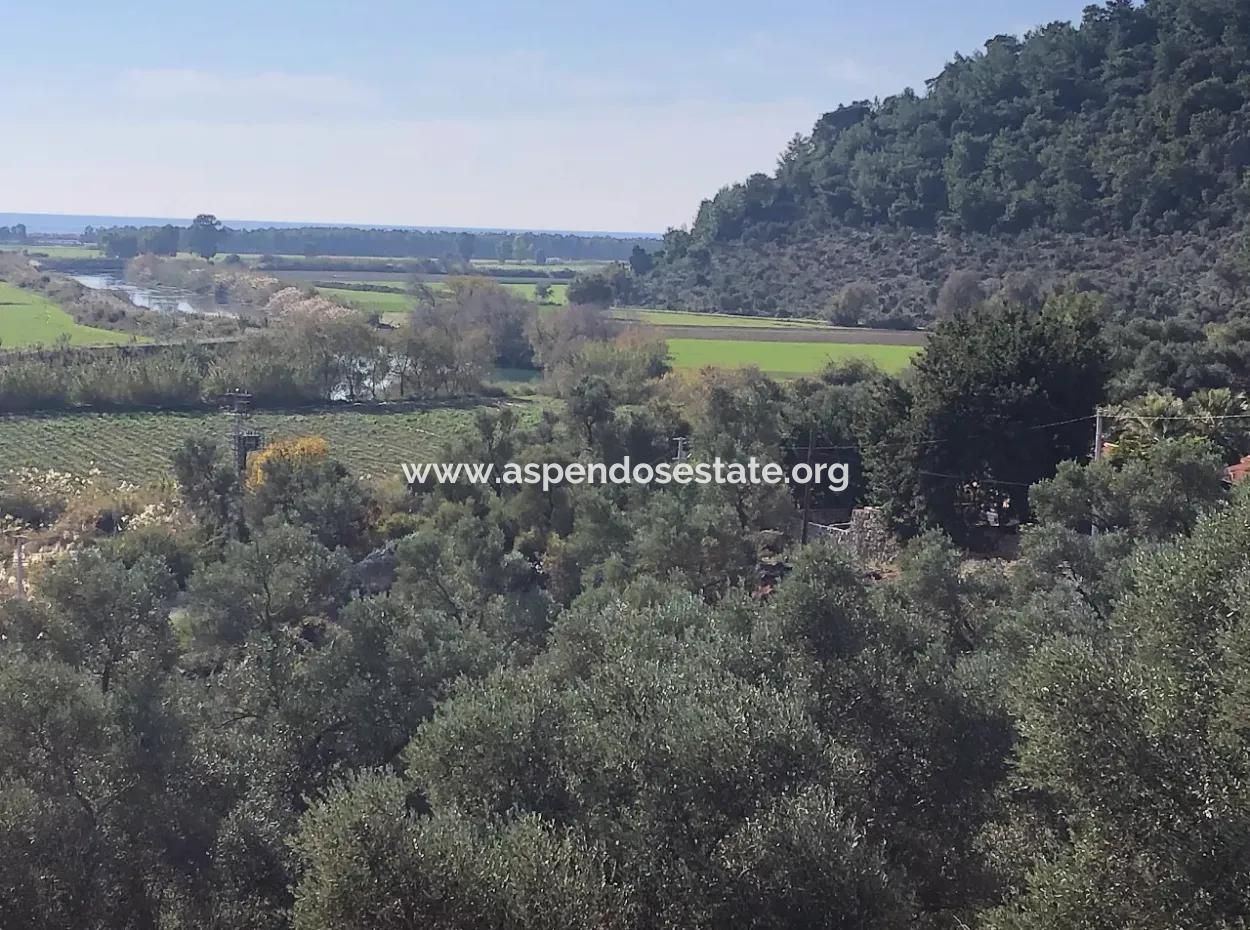 Land For Sale With Sea View Of Fevziye