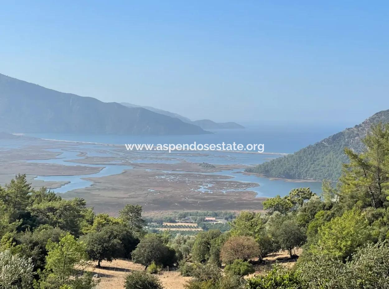 2620M2 Land Field For Sale With Sea View Of Çandir