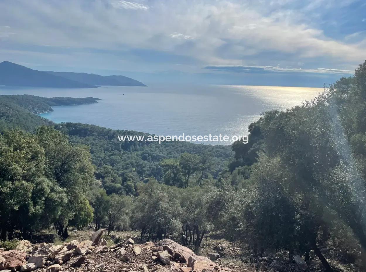 8,900M2 Field For Sale With Full Sea View In Ekincik