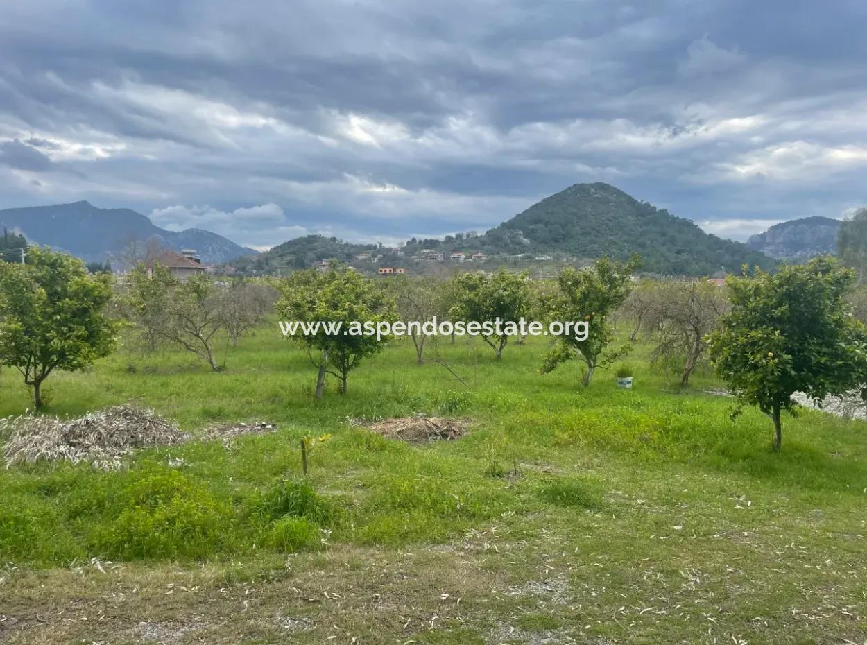 Dalyan Boutique Hotel For Sale Bungolevler For Sale In 11.000M2 Plot