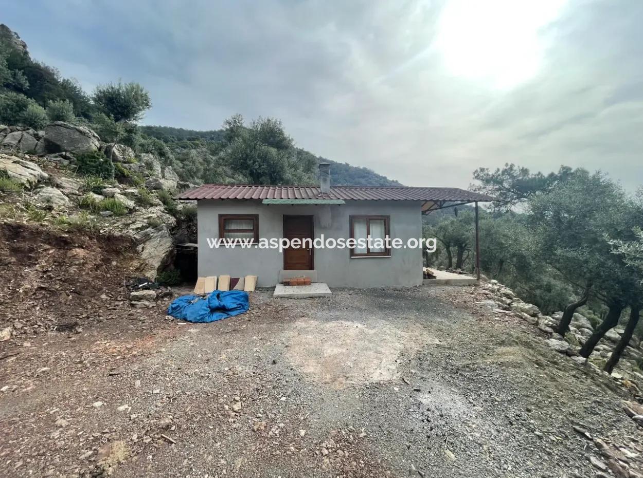 Olive House With Sea View In Ekincik Is For Sale