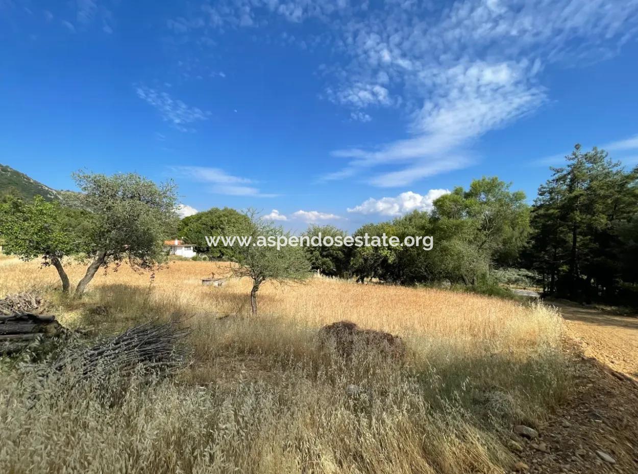Land For Sale In Ula Armutchuk With 501M2 Zoning