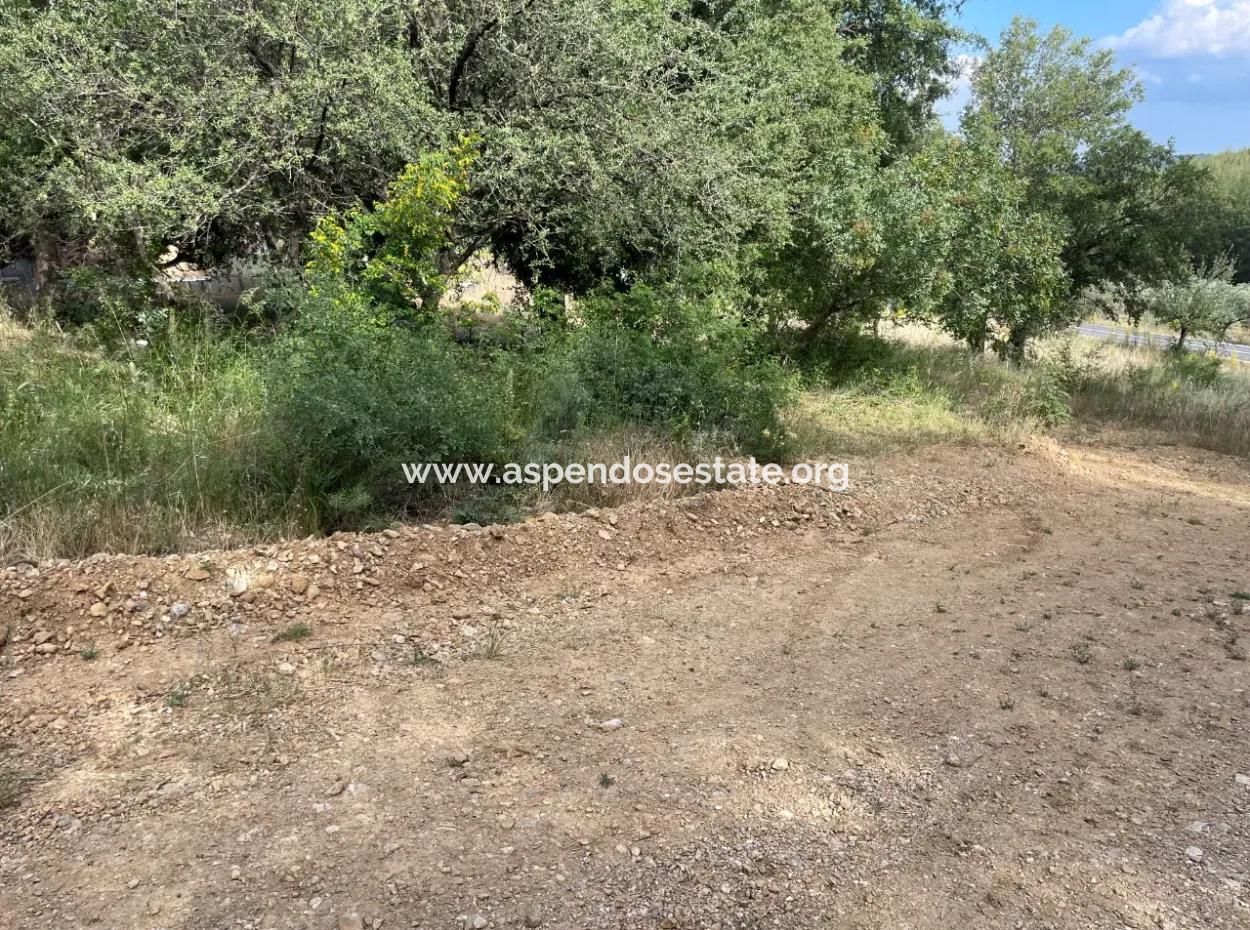 Land For Sale In Ula Armutchuk With 501M2 Zoning