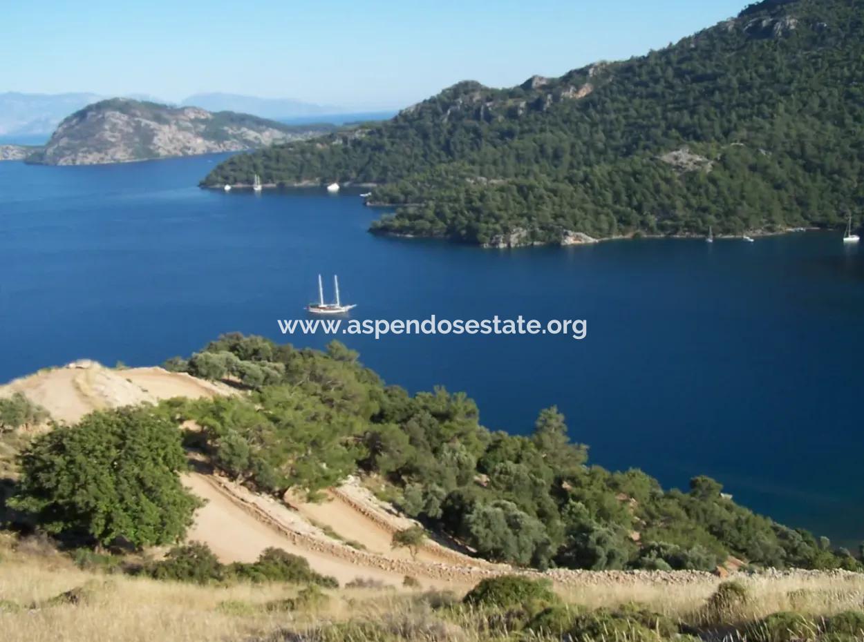 House For Sale In Sarsalada Sea View 4274M2 Plot