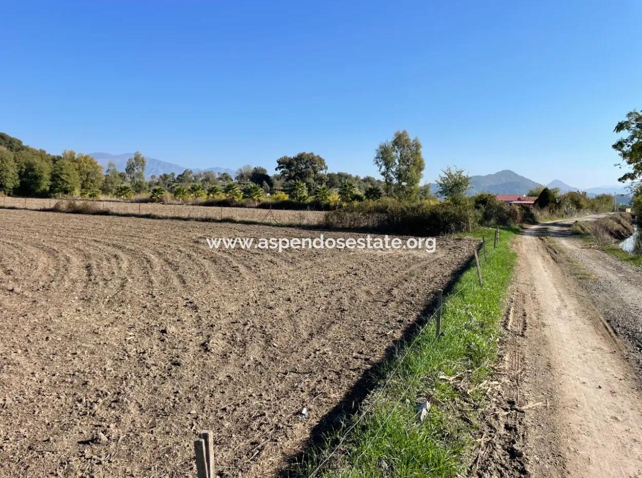 6254M2 Field For Sale Near Dalyan In Eskiköy