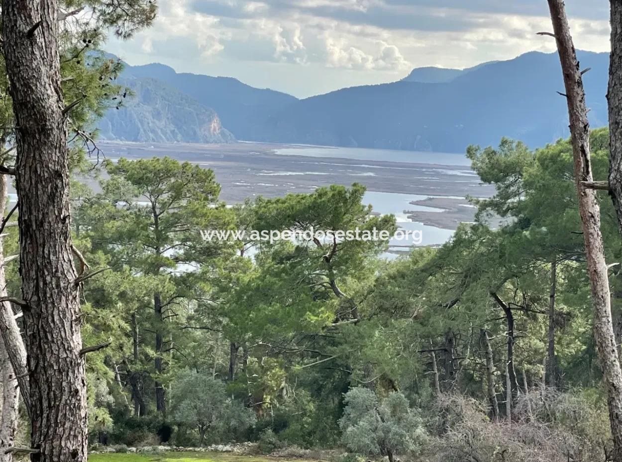10,707M2 2B Field For Sale With Sea Lake View In Çandır