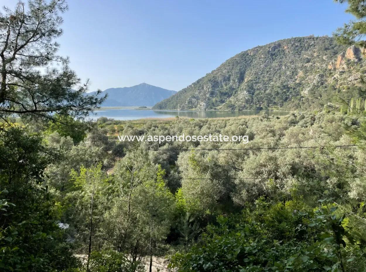 1,136M2 Field Plot For Sale With Çandır Lake View