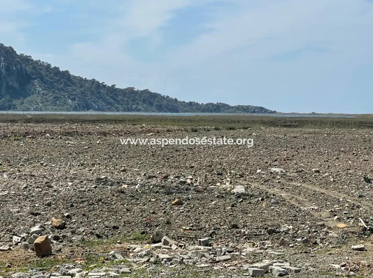 Dalyan Iztuzu Beach Road Zero 19,600M2 Field Land For Sale