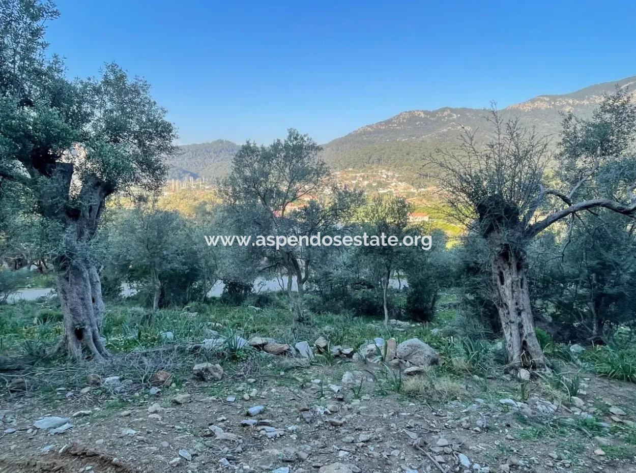 Çandır Lake Sea View 2,806M2 2B Field For Sale