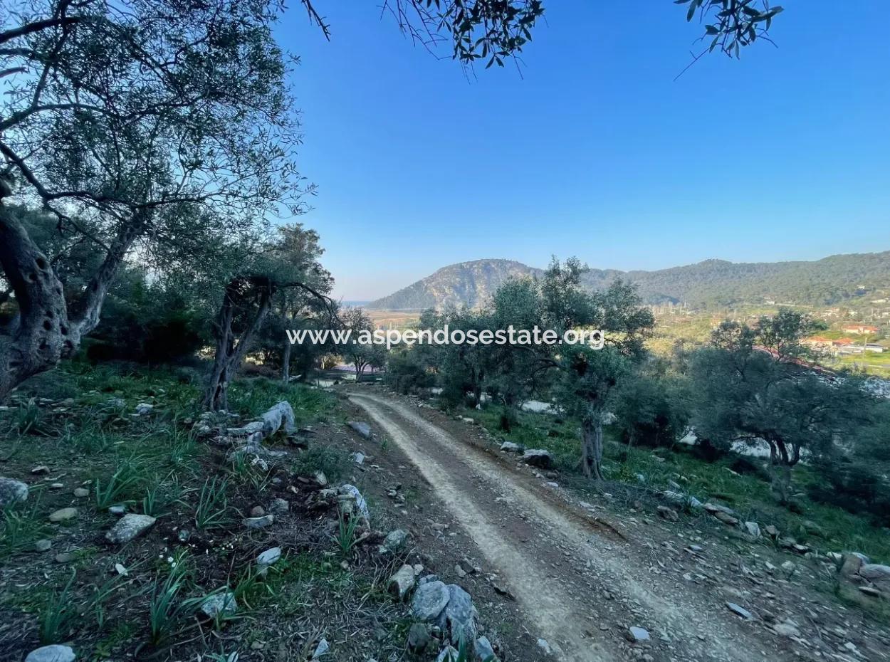 Çandır Lake Sea View 2,806M2 2B Field For Sale