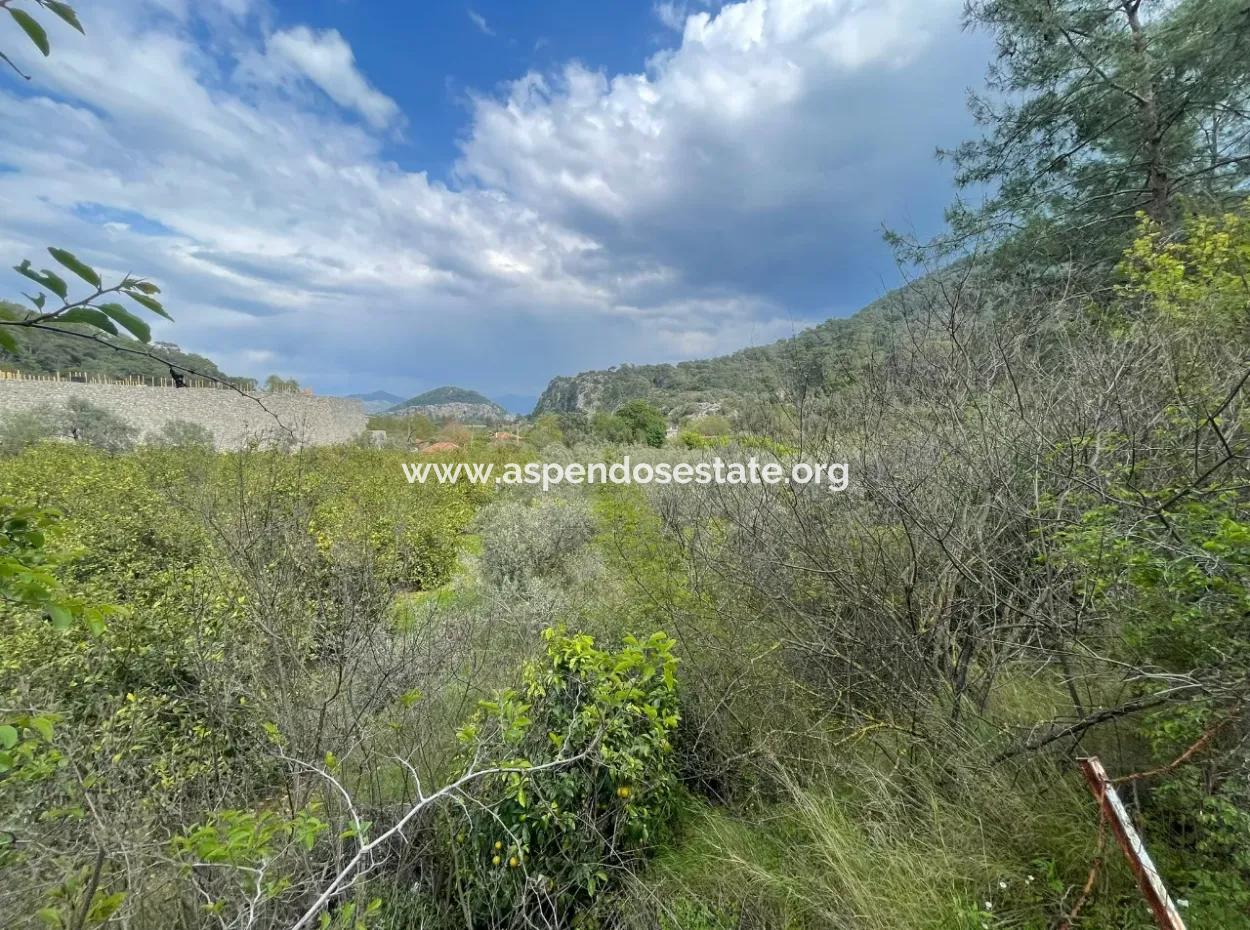 5000M2 Field For Sale At The Beginning Of The Road In Çandır
