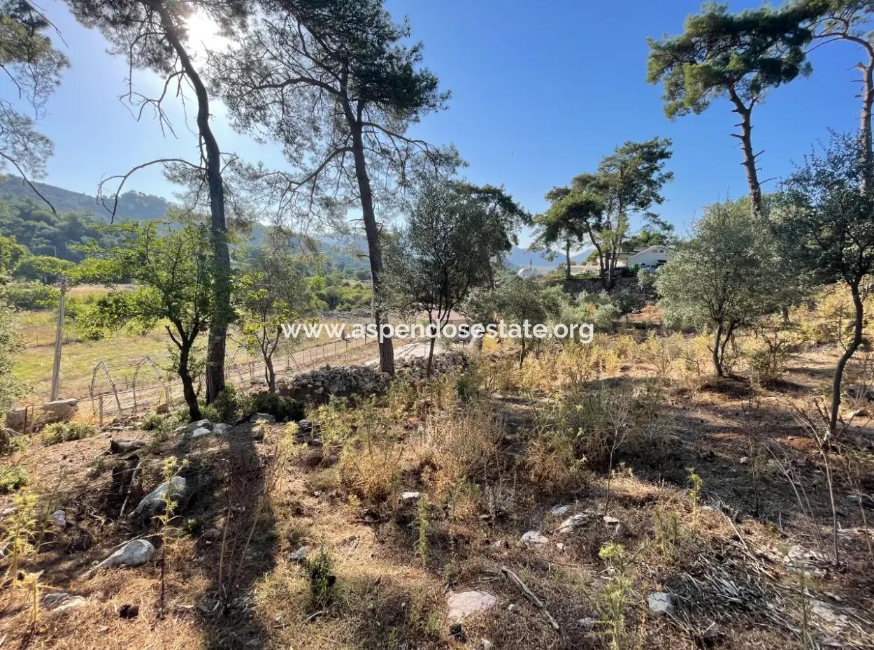 1,320M2 Field For Sale In Çandır Center By The Forest