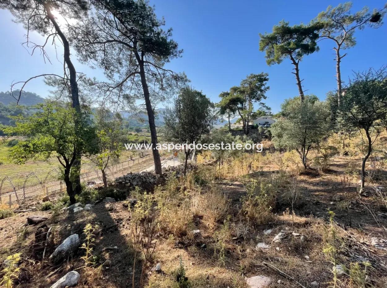 1,320M2 Field For Sale In Çandır Center By The Forest