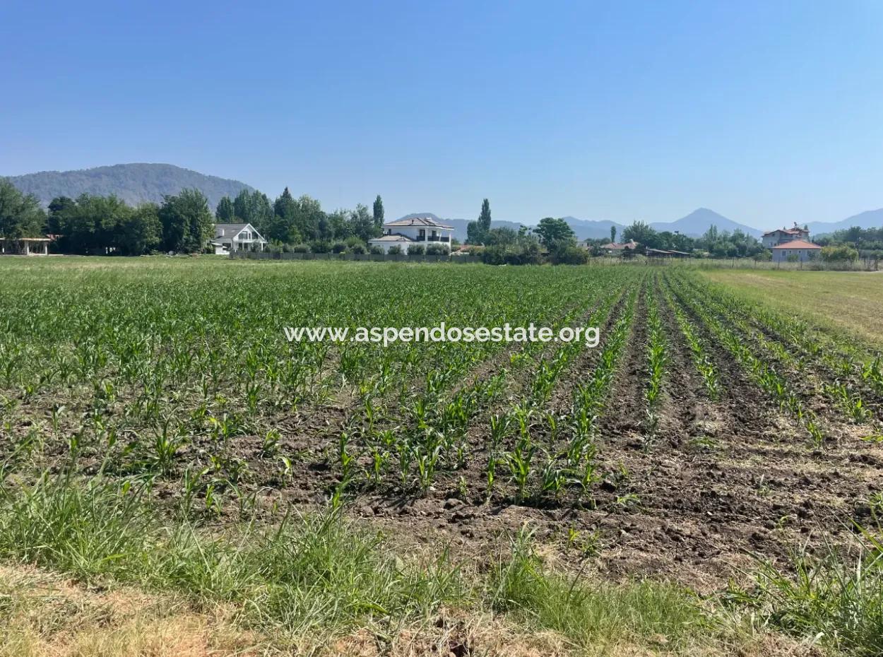 Land For Sale Of 2715M2 In The Built-Up Area Of The Village In Okçular
