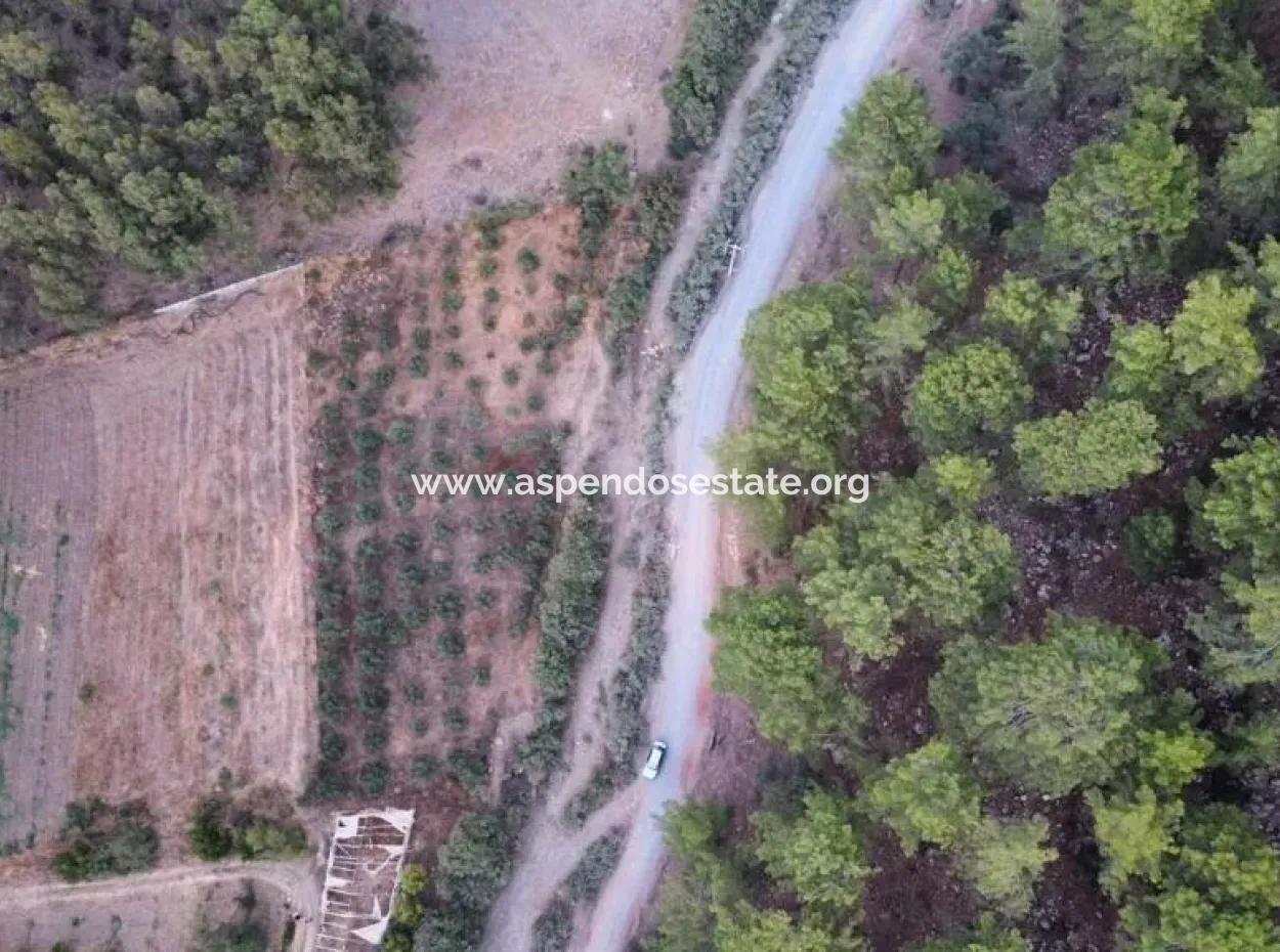 3578M2 Field For Sale On The Road Of Aşı Koyu In Mergenlide