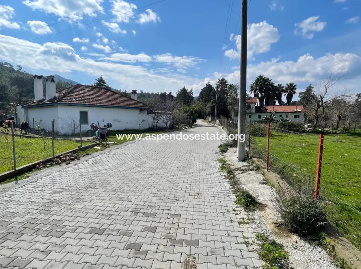 Sultaniye Büyükkaraç Mahallesin For Sale Field
