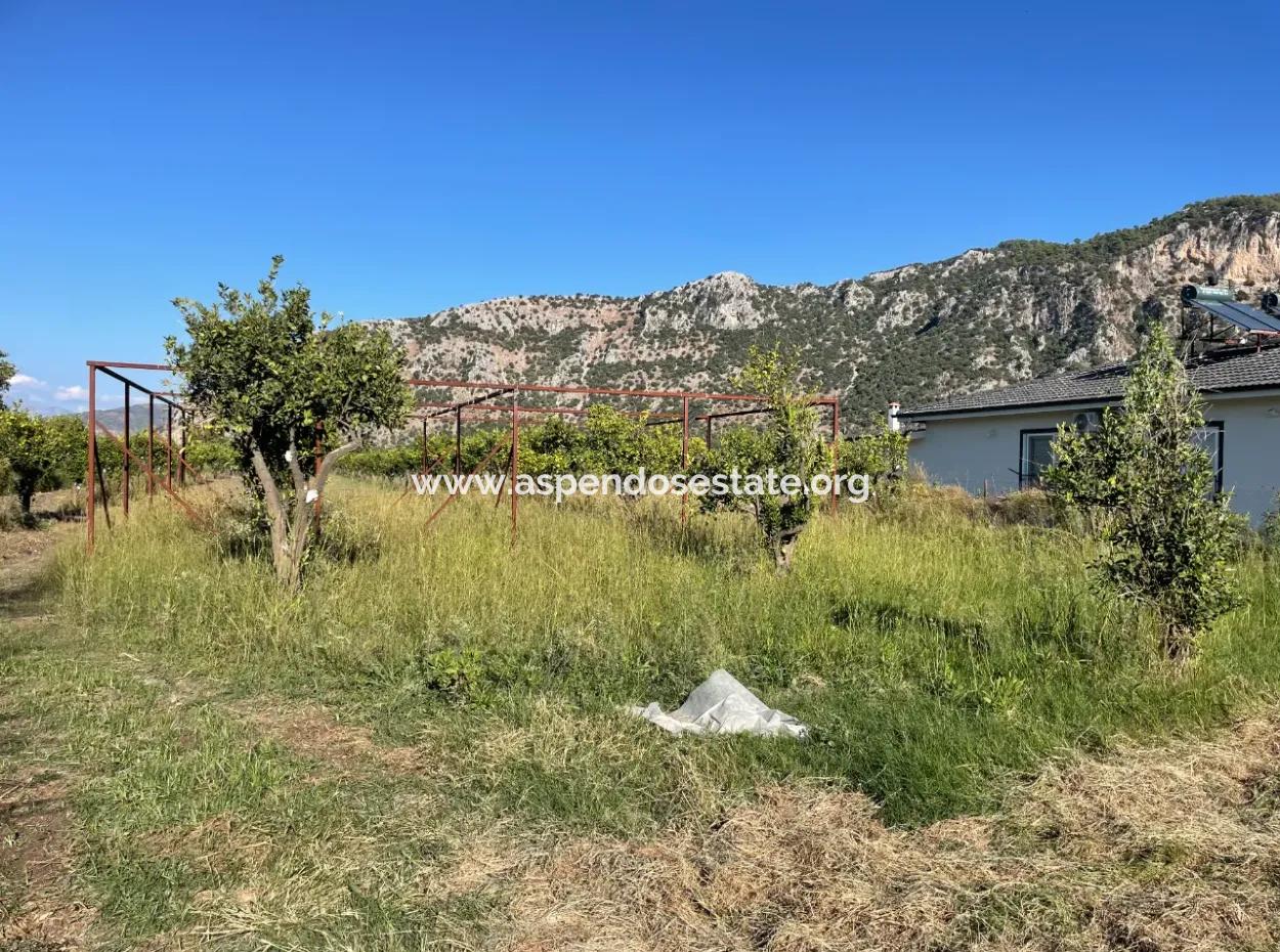 Land For Sale In Dalyan Close To The Center Of 6600M2