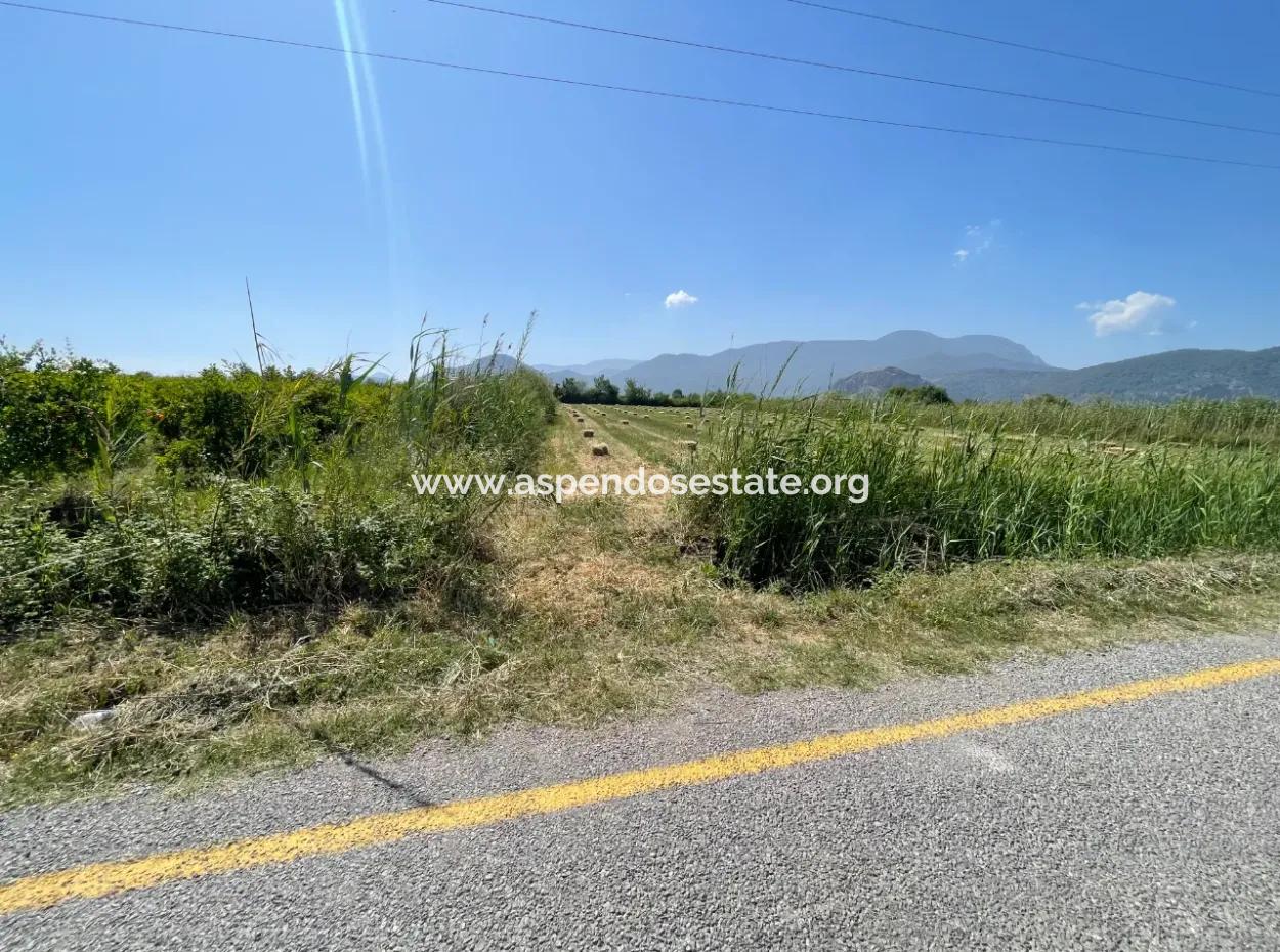 6,500M2 Field For Sale On The Iztuzu Road In Dalyan