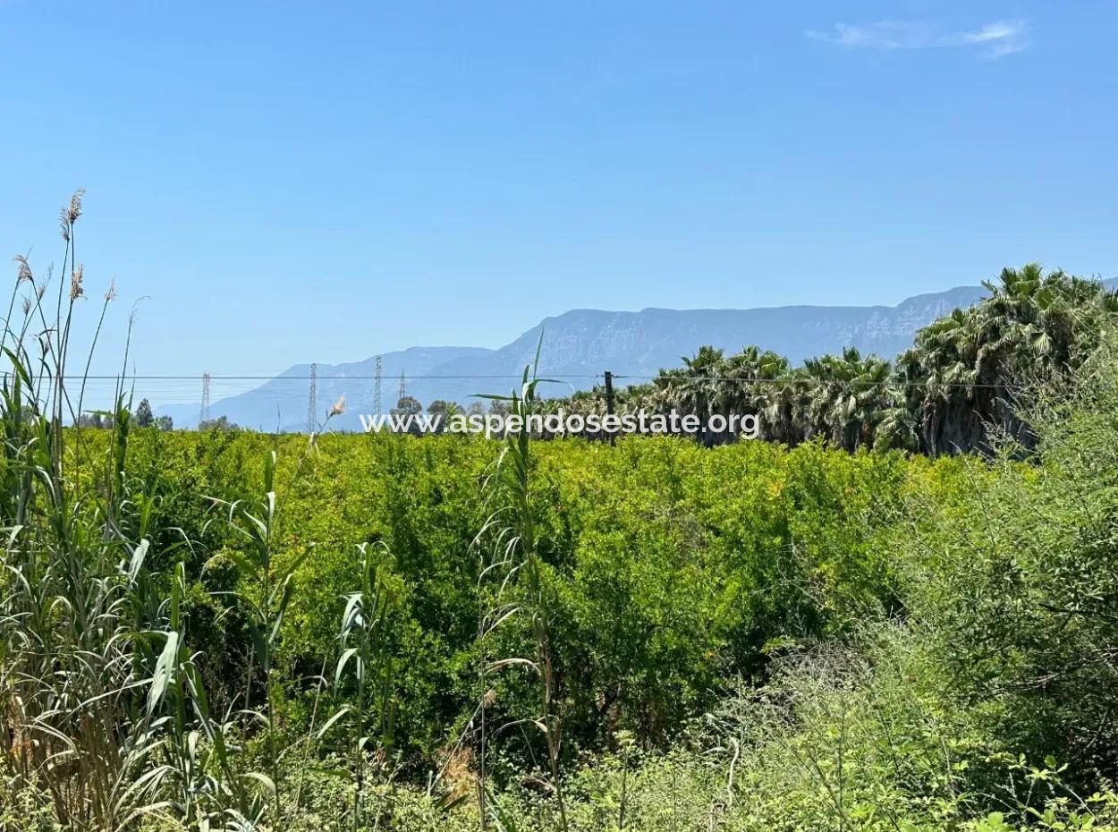 13,500M2 Roadfront Field For Sale In Akyaka Akçapınar