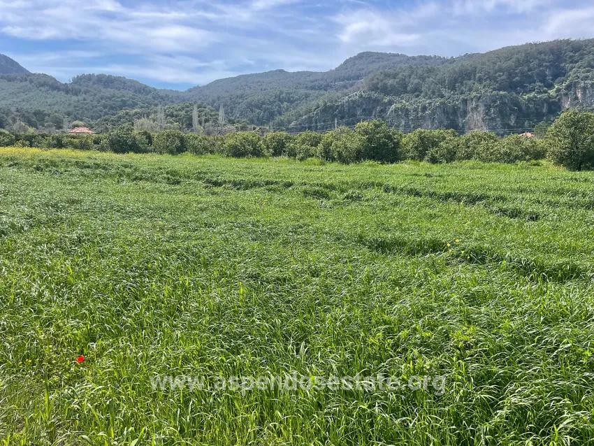 В Окчуларе 736m2 Общая Площадь 250m2 Строительная Разрешение Имеется Продается Земельный Участок